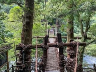 祖谷のかずら橋