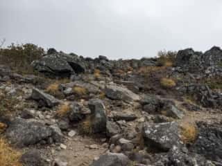 権現岳