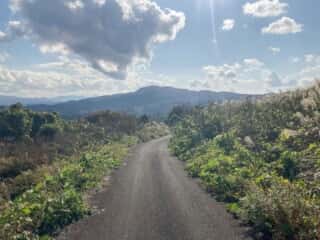 七高山登山道