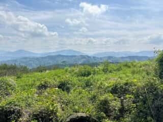 四国八十八ヶ所霊場 第65番札所 三角寺〜第66番札所 雲辺寺