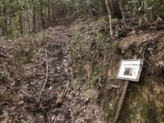 天宮さん（鳥取県御内谷）への道のり