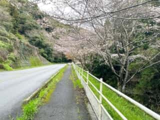宇和島駅〜四国八十八ヶ所霊場 第41番札所 龍光寺