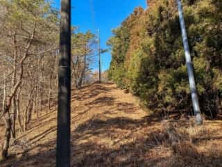石投山 黒森山 登山道