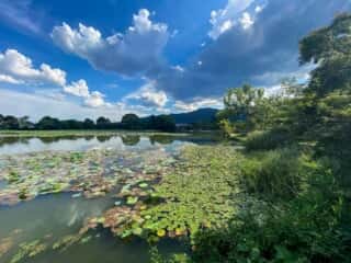 大覚寺　大沢池
