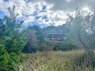四国八十八ヶ所霊場 第23番札所 薬王寺〜第24番 最御崎寺