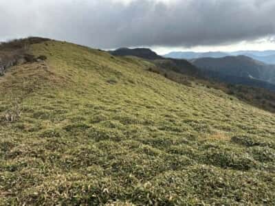 土佐矢筈山・小桧曽山