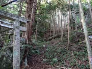 石尾神社　鳥居と山道