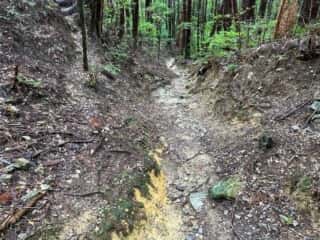 四国八十八ヶ所霊場 第11番札所 藤井寺〜第12番札所 焼山寺