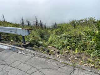 屏風岳・刈田岳 登山道