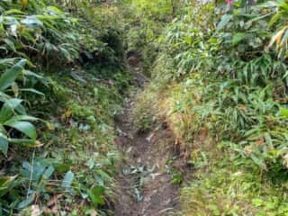 屏風岳・刈田岳 登山道