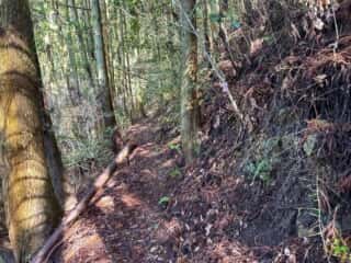 四国八十八ヶ所霊場 第42番札所 仏木寺〜第43番札所 明石寺