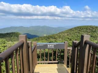 奄美大島 湯湾岳