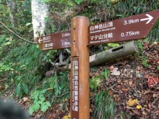 白神岳