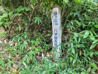 八甲田山 登山道