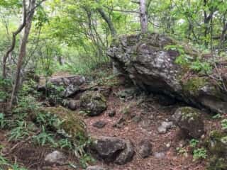 権現岳登山道