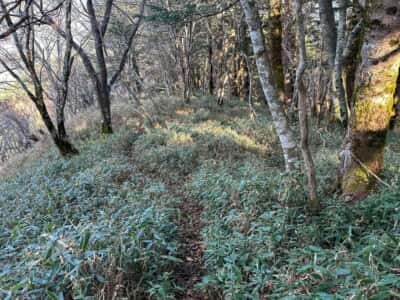 寒峰・烏帽子山