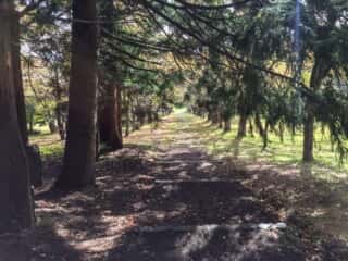 岩木山登山道
