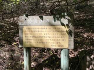 妙義山