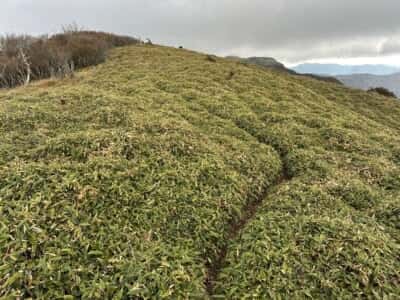 土佐矢筈山・小桧曽山