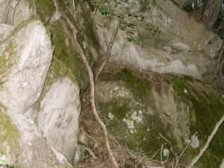 諏守屋山腹の巨石