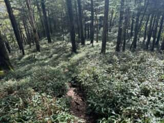 矢筈山・石堂山