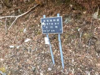 石投山 黒森山 登山道