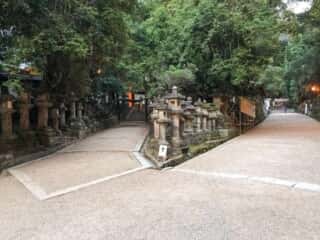 春日大社の参道