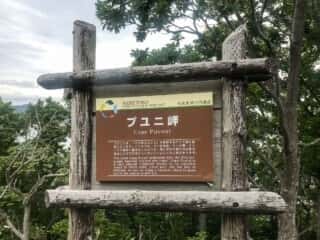 知床五湖　プユニ岬