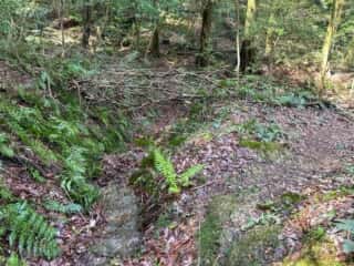 四国八十八ヶ所霊場 第42番札所 仏木寺〜第43番札所 明石寺