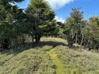 矢筈山・石堂山