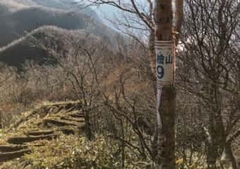 黒檜山 登山道