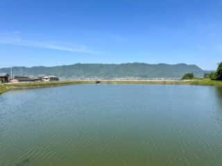 四国八十八ヶ所霊場 第70番札所 本山寺〜第71番札所 弥谷寺