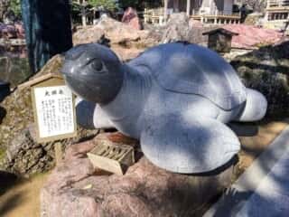 金剛福寺