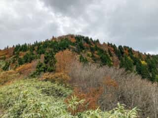 真山登山道