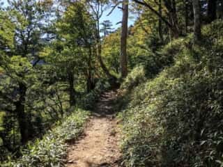 山上ヶ岳（大峯山）登山道