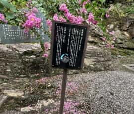 本楽寺