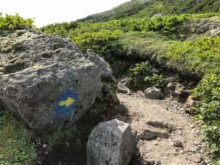羅臼岳登山道