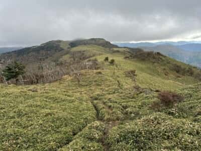土佐矢筈山・小桧曽山