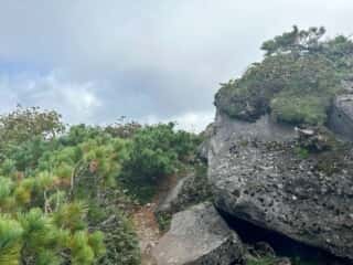 雄阿寒岳