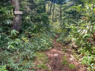屏風岳・刈田岳 登山道