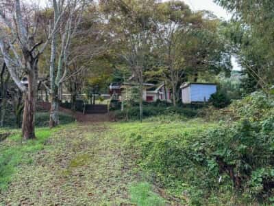 山崎忌部神社