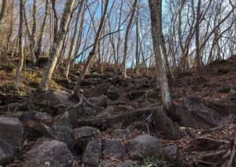 黒檜山登山道