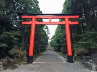 霧島神宮　二の鳥居と表参道
