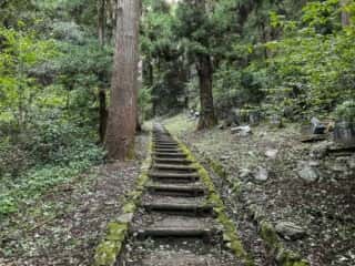 御嶽山 山道