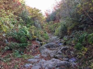 岩木山登山道