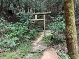 大泉神社