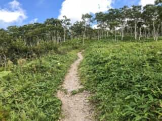 摩周岳登山道