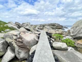 徳之島 ムシロ瀬