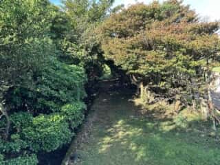 旭ヶ丸・大川原高原
