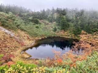 八幡平登山道